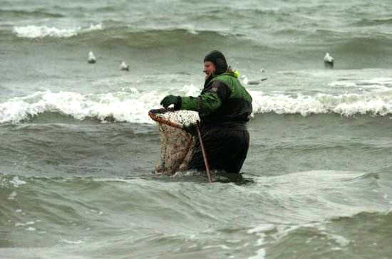 蜜蠟海珀海邊開采打撈
